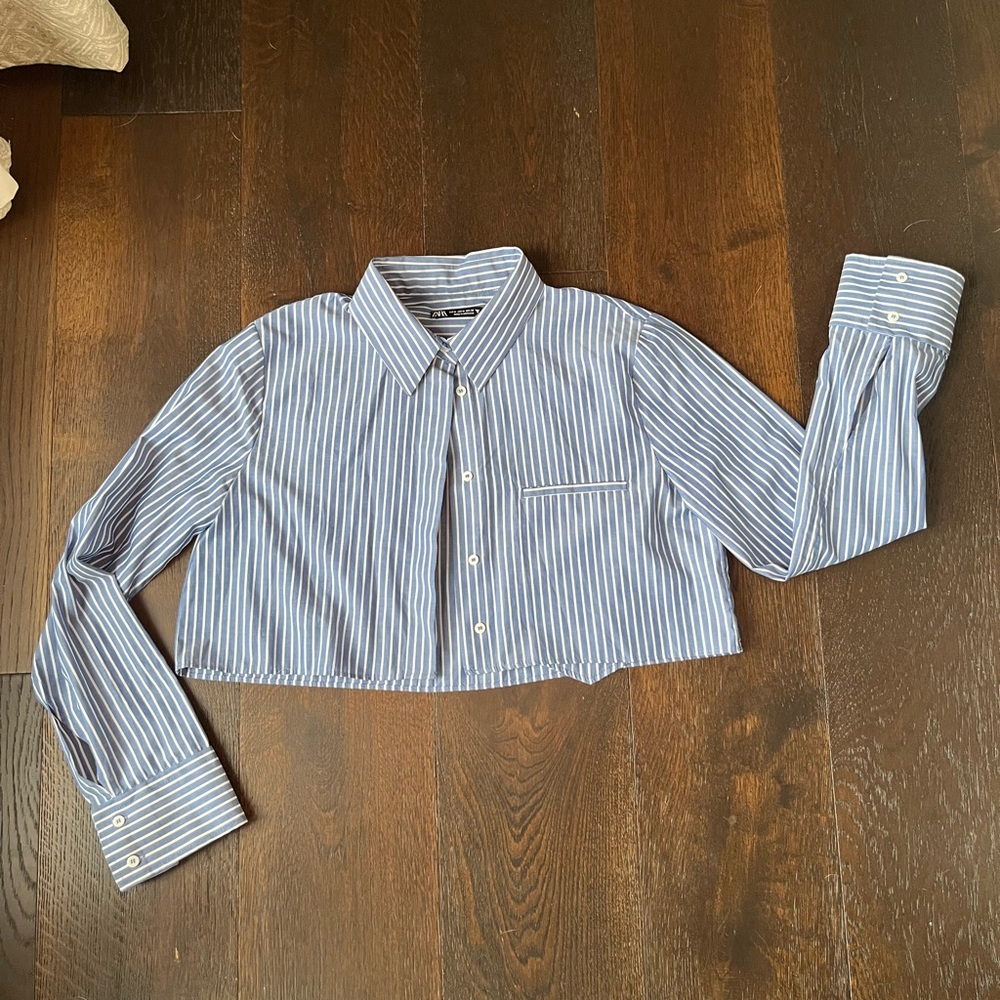 Zara Blue and White Striped Shirt